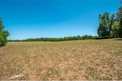 00 NW Hwy 225, Reddick, FL 32686 - Photo 9