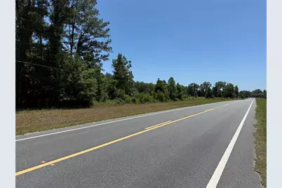 00 NW Hwy 225, Reddick, FL 32686 - Photo 3