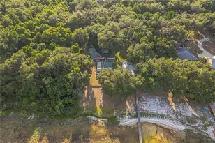 11690 SE 132nd Street Rd, Ocklawaha, FL 32179 - Photo 81