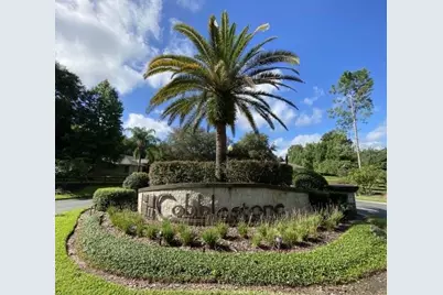 Tbd SE 41st Avenue, Belleview, FL 34420 - Photo 3