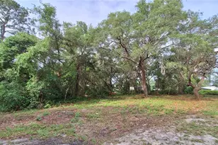 2502 SE 179th Ave, Silver Springs, FL 34488 - Photo 13