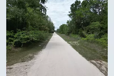 Tbd SW 31st Pl, Ocala, FL 34481 - Photo 3