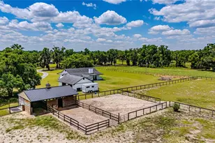 1155 E Hwy 316, Citra, FL 32113 - Photo 41