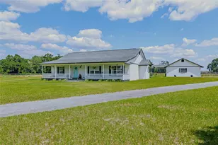 1155 E Hwy 316, Citra, FL 32113 - Photo 3