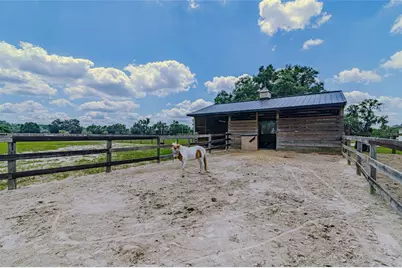 1155 E Highway 316, Citra, FL 32113 - Photo 29
