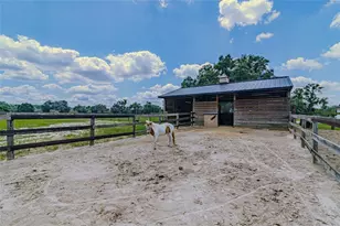 1155 E Hwy 316, Citra, FL 32113 - Photo 29
