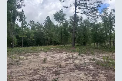 Tbd NE 16th Place, Williston, FL 32696 - Photo 5