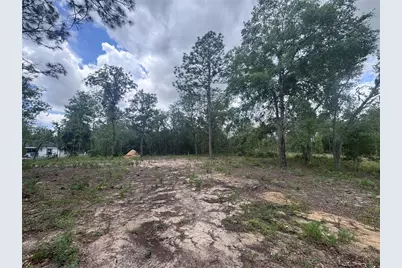 Tbd NE 16th Place, Williston, FL 32696 - Photo 3