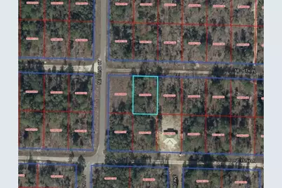 Tbd NE 16th Place, Williston, FL 32696 - Photo 7