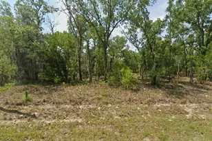 1900 W Magenta Dr, Dunnellon, FL 34434 - Photo 1