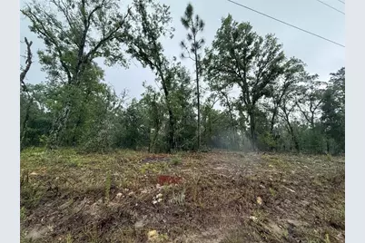 1900 W Magenta Drive, Dunnellon, FL 34434 - Photo 5