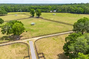 6157 W Hwy 329, Reddick, FL 32686 - Photo 29