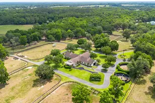 6157 W Hwy 329, Reddick, FL 32686 - Photo 5