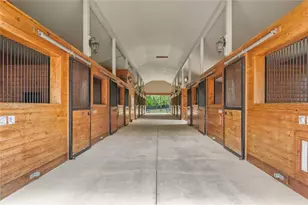 6157 W Hwy 329, Reddick, FL 32686 - Photo 19