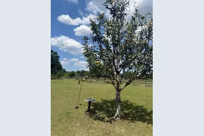 13551 NE 14th Avenue, Citra, FL 32113 - Photo 37