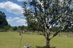 13551 NE 14th Ave, Citra, FL 32113 - Photo 39