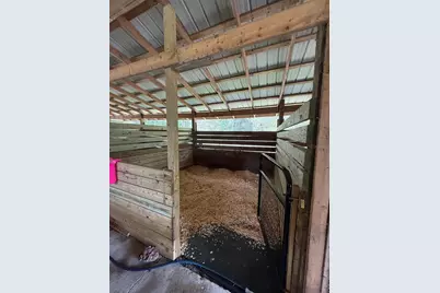 13551 NE 14th Avenue, Citra, FL 32113 - Photo 5