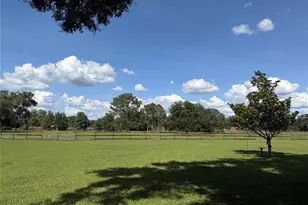 13551 NE 14th Ave, Citra, FL 32113 - Photo 43