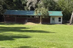 13551 NE 14th Ave, Citra, FL 32113 - Photo 5