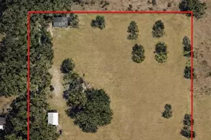 13551 NE 14th Ave, Citra, FL 32113 - Photo 3