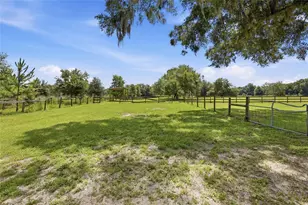 13551 NE 14th Ave, Citra, FL 32113 - Photo 41