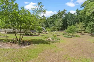4050 NE 172 Ct, Williston, FL 32696 - Photo 41