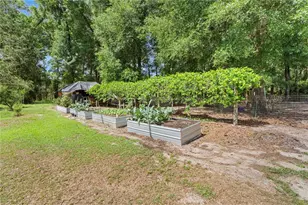4050 NE 172 Ct, Williston, FL 32696 - Photo 51
