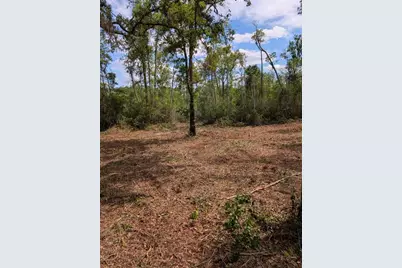 0 NE 220th Street, Fort Mc Coy, FL 32134 - Photo 7
