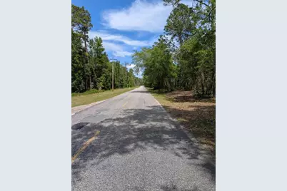 0 NE 220th Street, Fort Mc Coy, FL 32134 - Photo 3