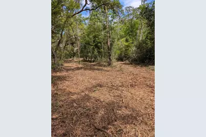 0 NE 220th Street, Fort Mc Coy, FL 32134 - Photo 5