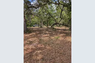 0 NE 220th Street, Fort Mc Coy, FL 32134 - Photo 1