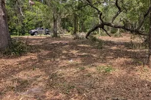 0 NE 220th St, Fort Mc Coy, FL 32134 - Photo 1