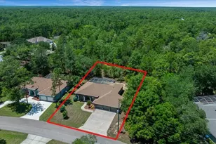5 Saintpaulia St, Homosassa, FL 34446 - Photo 39