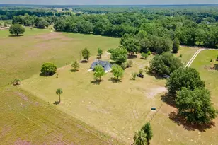 4381 NE 105th Pl, Anthony, FL 32617 - Photo 45