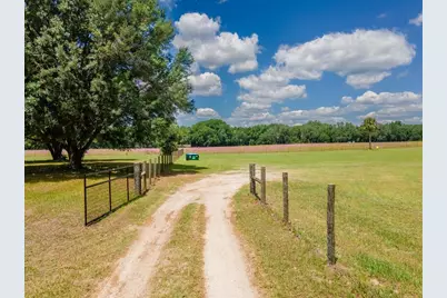 4381 NE 105th Place, Anthony, FL 32617 - Photo 3