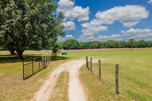 4381 NE 105th Pl, Anthony, FL 32617 - Photo 3