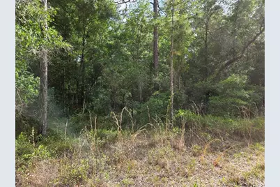 0000 NE 85th Street, Bronson, FL 32621 - Photo 3