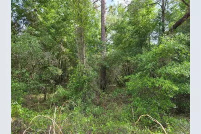 0000 NE 85th Street, Bronson, FL 32621 - Photo 9