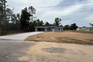 3 Guava Place Dr, Ocklawaha, FL 32179 - Photo 1