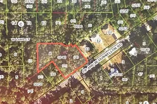 9771 W Dunnellon Rd, Crystal River, FL 34428 - Photo 1