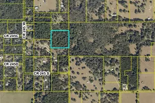 Tbd County Road 245S, Oxford, FL 34484 - Photo 1
