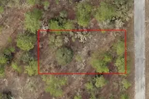 Tbd SW Temple Heights Ct, Dunnellon, FL 34431 - Photo 1