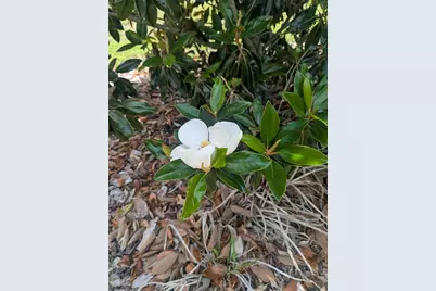 9985 SW 88th Loop, Ocala, FL 34481 - Photo 45