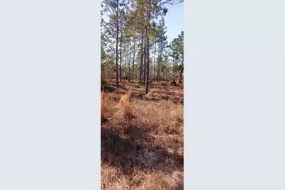 00 NE 151st Avenue NE, Williston, FL 32696 - Photo 3