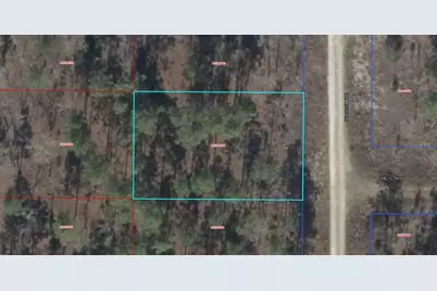 00 NE 151st Avenue, Williston, FL 32696 - Photo 1