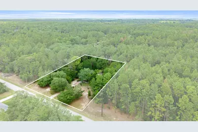 20349 SW 59th Lane, Dunnellon, FL 34431 - Photo 39