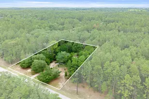 20349 SW 59th Ln, Dunnellon, FL 34431 - Photo 39