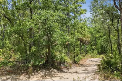 5267 N Lace Point, Dunnellon, FL 34433 - Photo 3