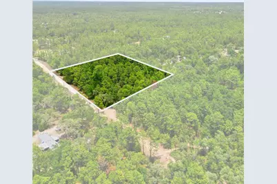 5339 N Lace Point, Dunnellon, FL 34433 - Photo 1