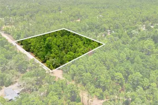 5339 N Lace Point, Dunnellon, FL 34433 - Photo 1